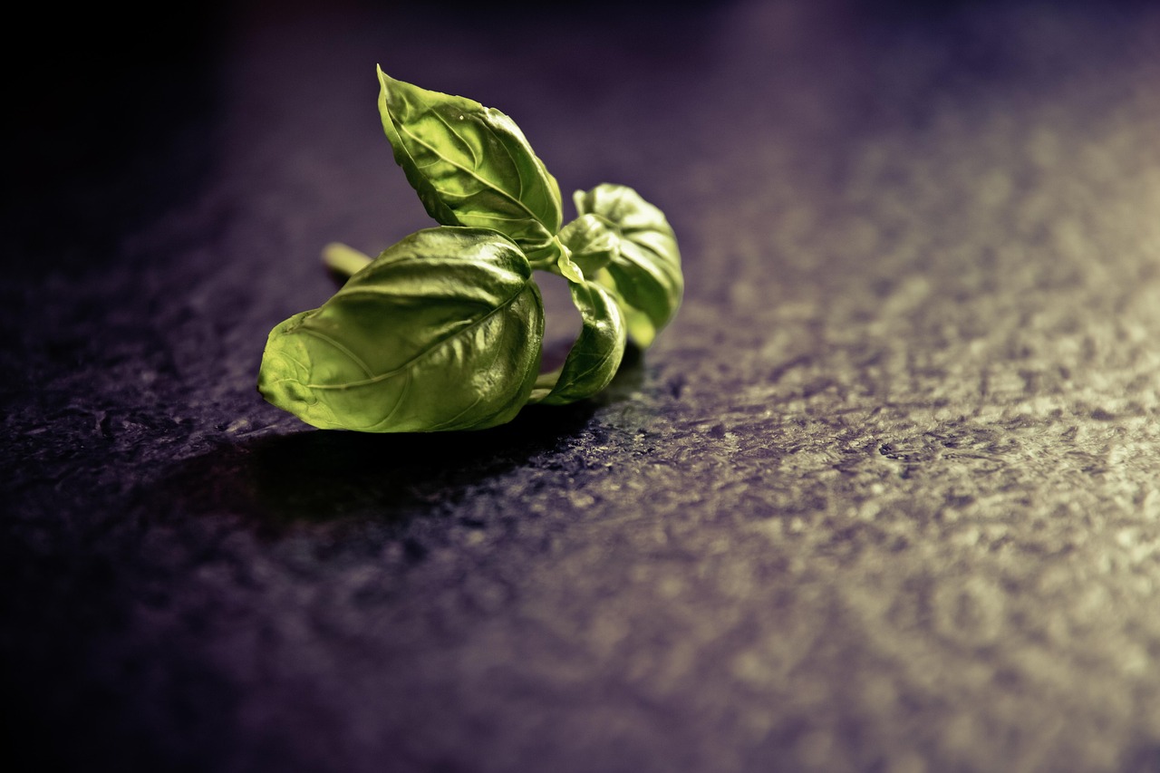 entdecken sie unsere vielfältigen gewürze für jede küche! hochwertige seasonings verleihen ihren gerichten einzigartigen geschmack und aroma. jetzt online bestellen und genießen.