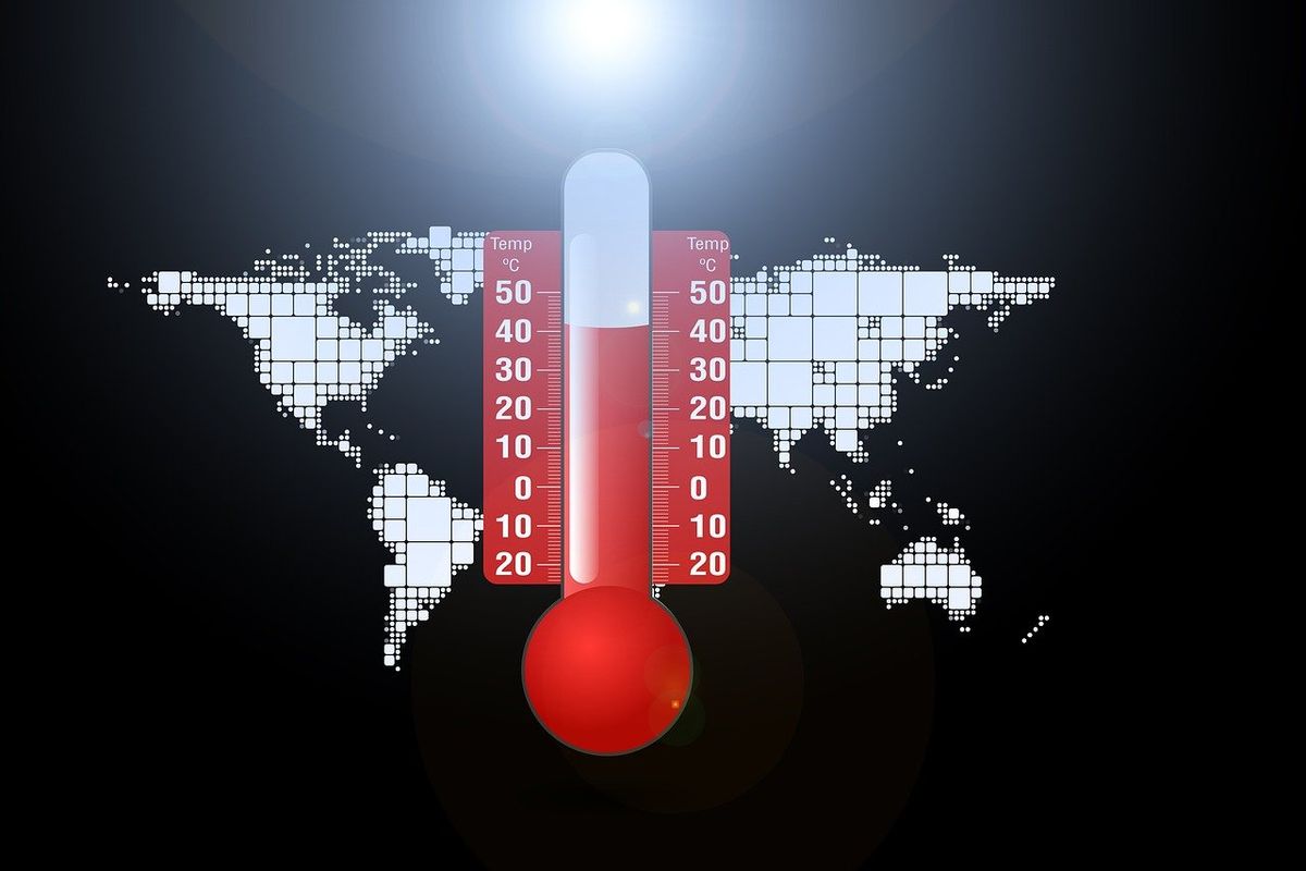 Welche Folgen hat der Klimawandel für Deutschland konkret?